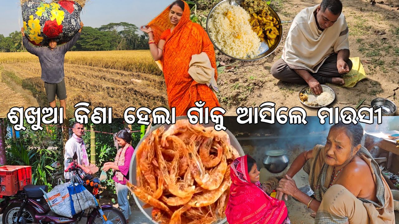 ଶୁଖୁଆ କିଣା ହେଲା 😋 ଗାଁକୁ ଆସିଲେ ମାମାଙ୍କ ମାଉସୀ l Gouranga Nayak Odia Vlogs 