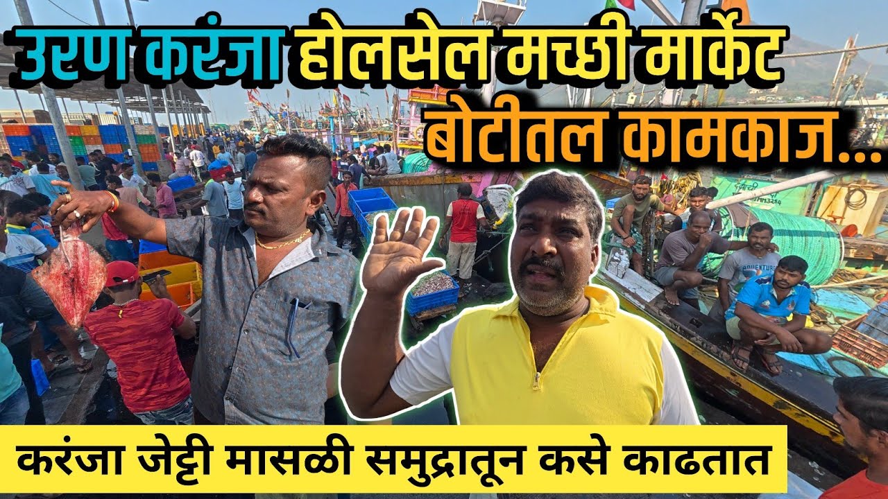 उरण करंजा होलसेल मच्छी मार्केट बोटीतल कामकाज?| Uran karanja jetty fish market | #navimumbai #panvel