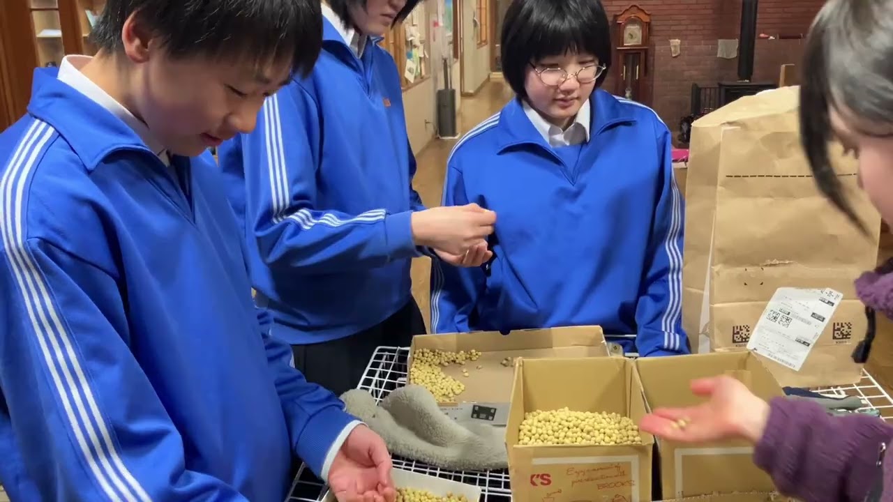 20260217大豆の選別