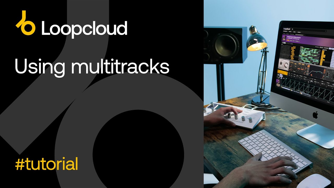Использование мультитреков — Loopcloud 6