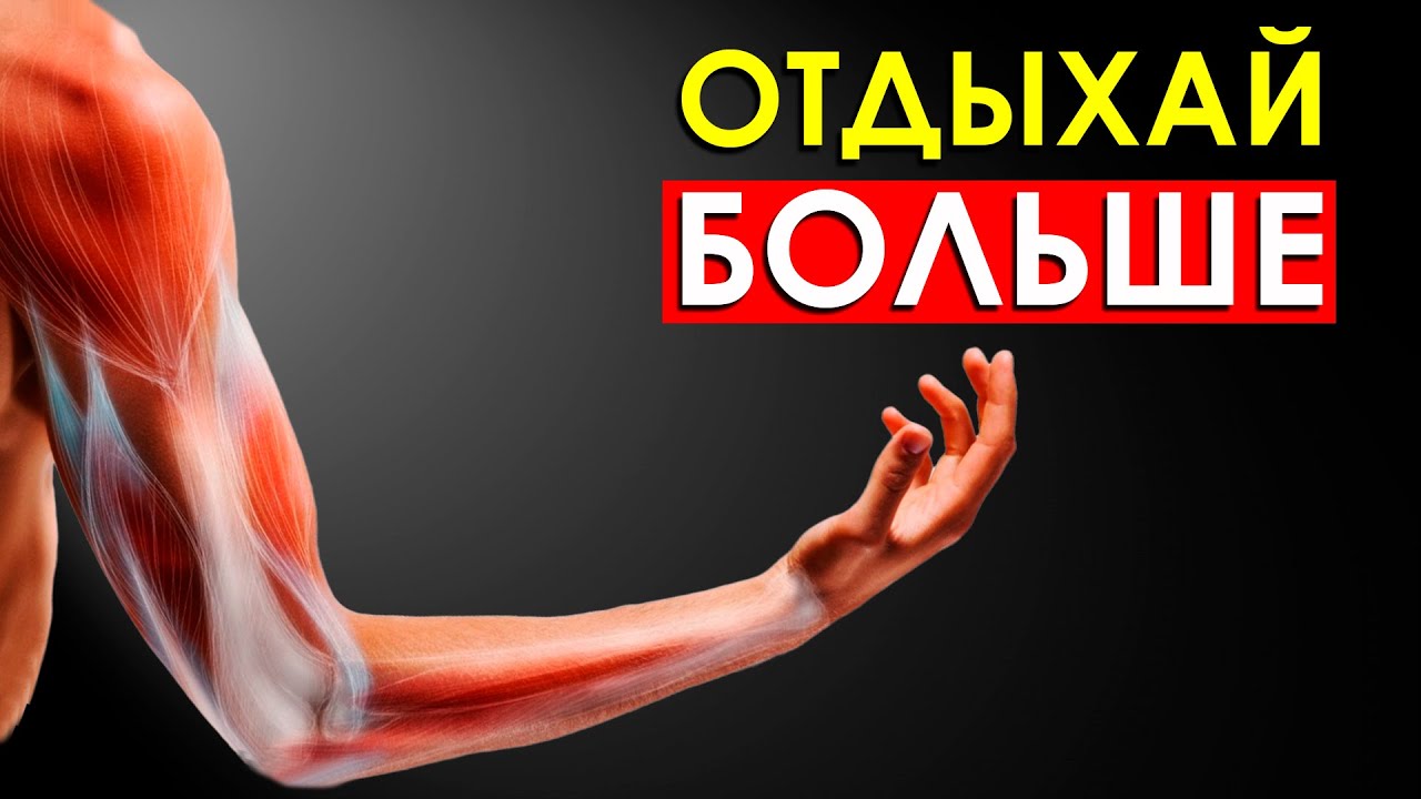 Сколько Должны Отдыхать Мышцы После Тренировки