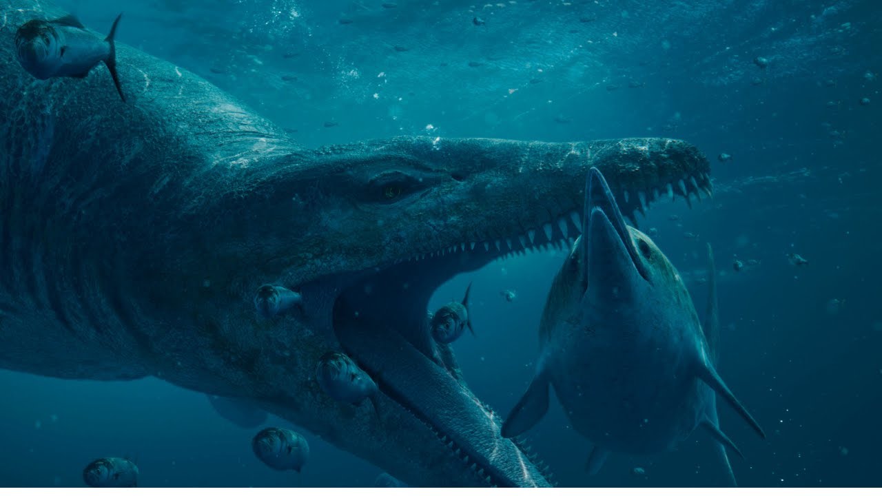 15 BIGGEST Sea Creatures Ever Seen