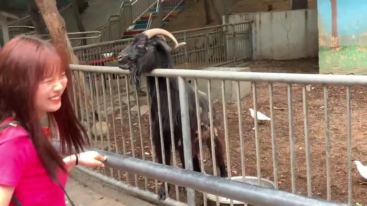 Zhongshan Park | Qingdao Animal Zoo | China