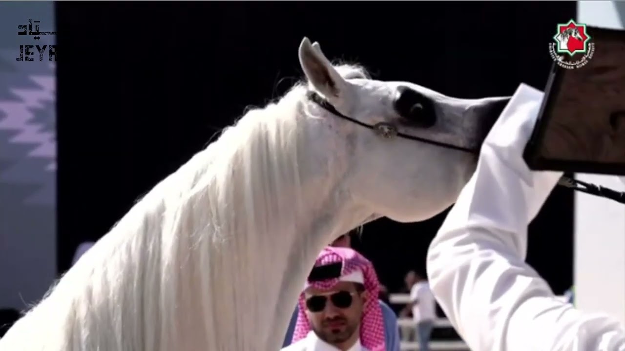 FALAH AL HAWAJER