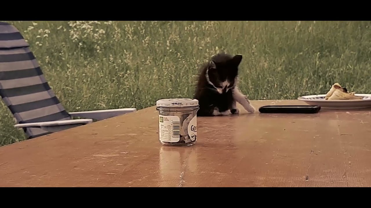Oszkar - Lou Mi Sa