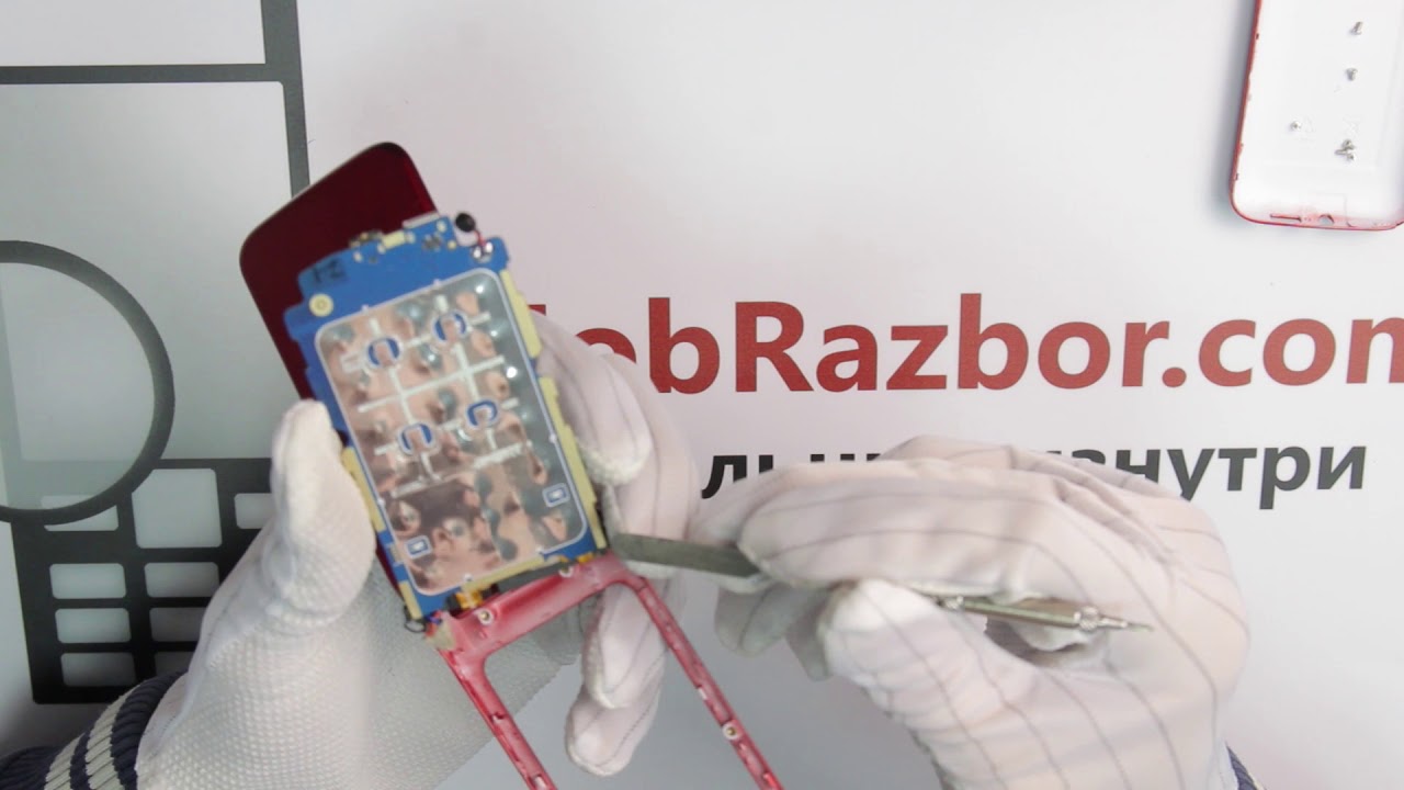 Разбор телефона Texet TM-204