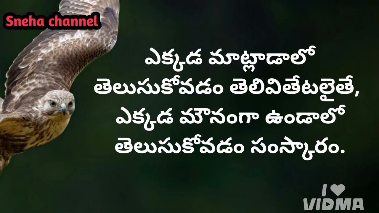 wonderful quotes#918#jivithasathyalu |Million dalar quotes |‌|Sneha channel