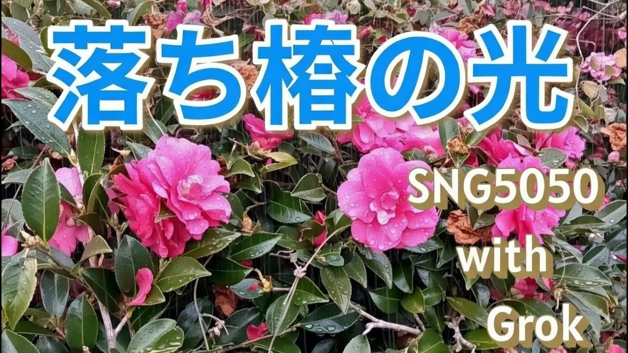 落ち椿の光