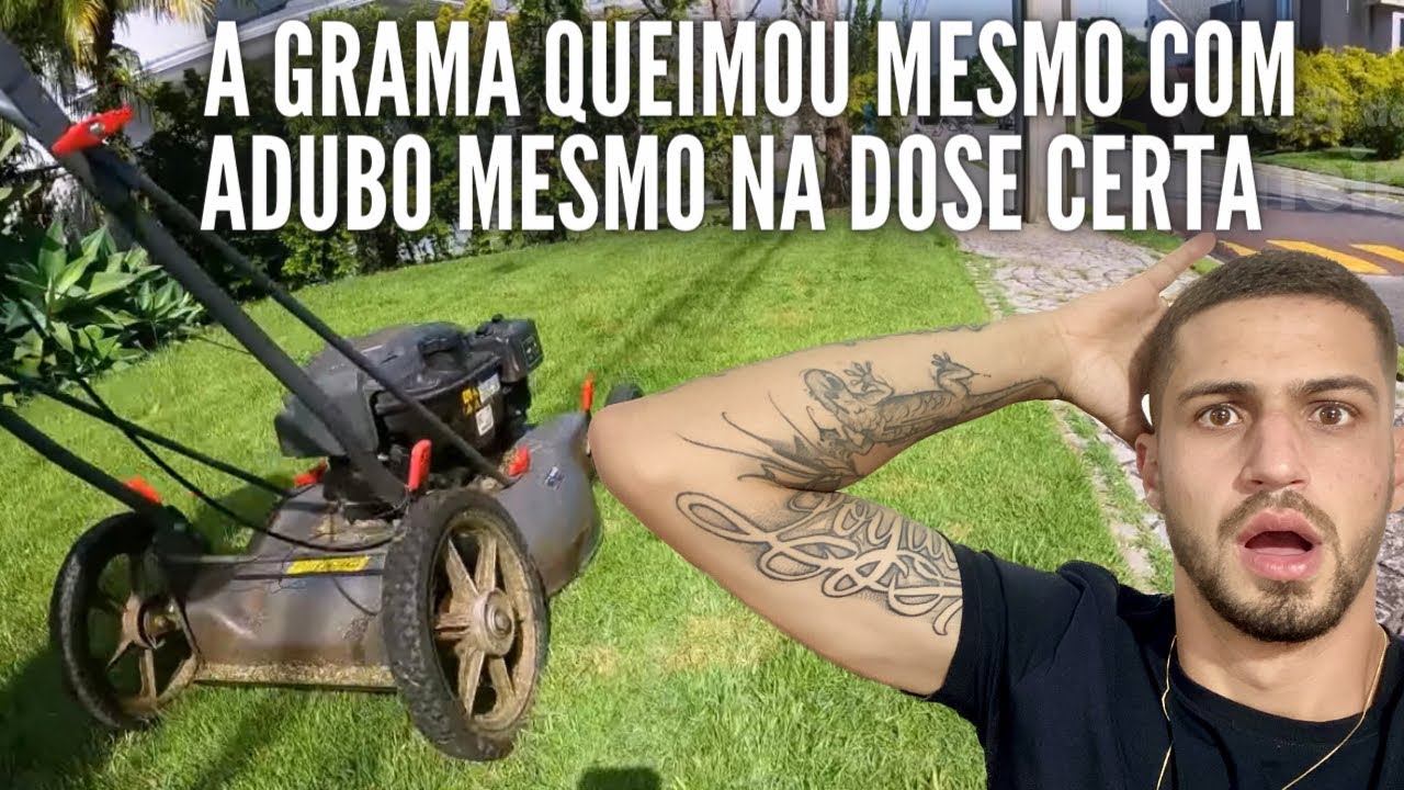 Manutenção de um jardim do início ao fim | Vida de Jardineiro