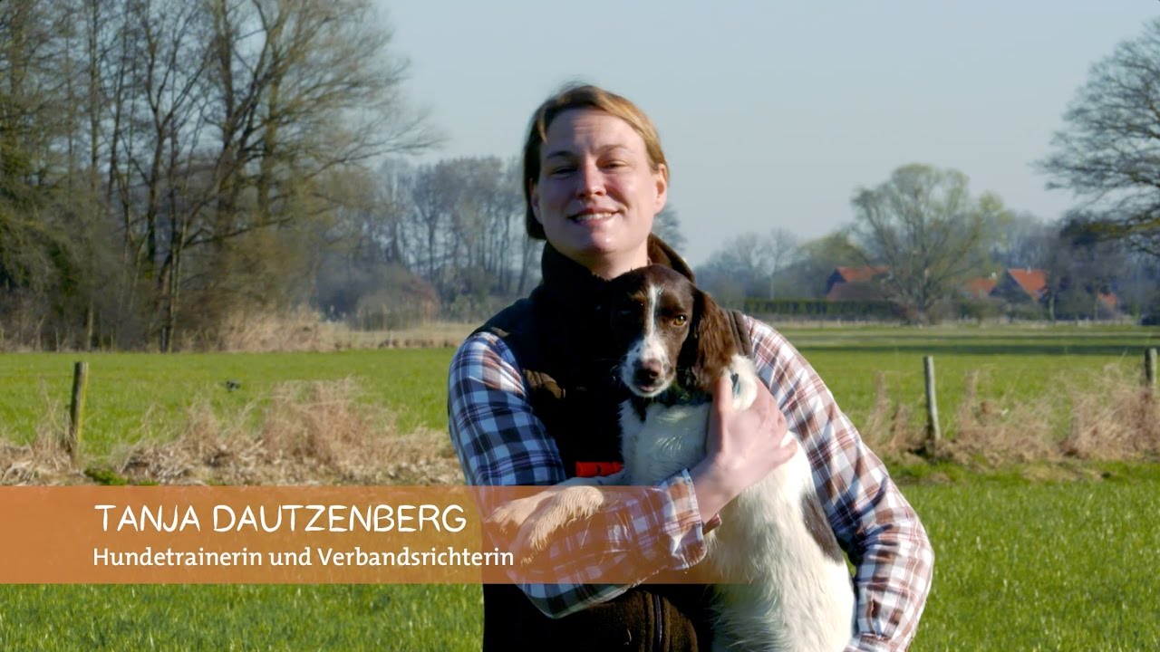 Basisausbildung für den brauchbaren Jagdhund: 