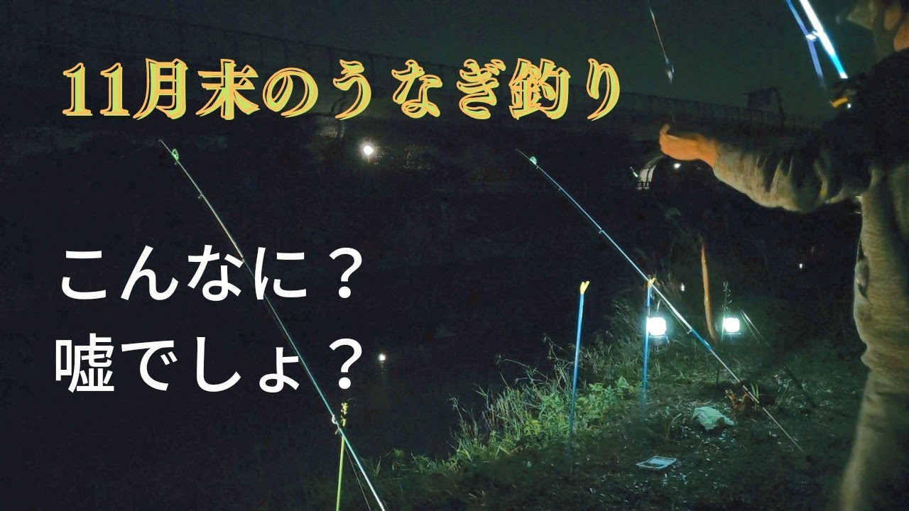【釣り】【うなぎ釣り】【うなぎ】11月末のうなぎ釣り！この時期に・・・！？