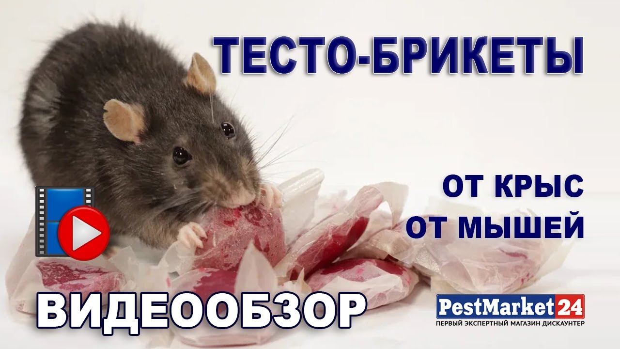 Тесто-брикеты от грызунов. Профессиональное, эффективное средство от крыс и мышей. ВИДЕООБЗОР