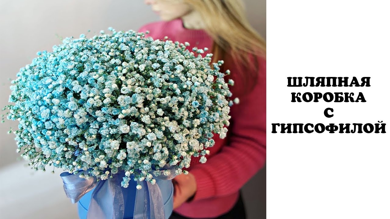 Шляпная коробка с гипсофилой. Флористика