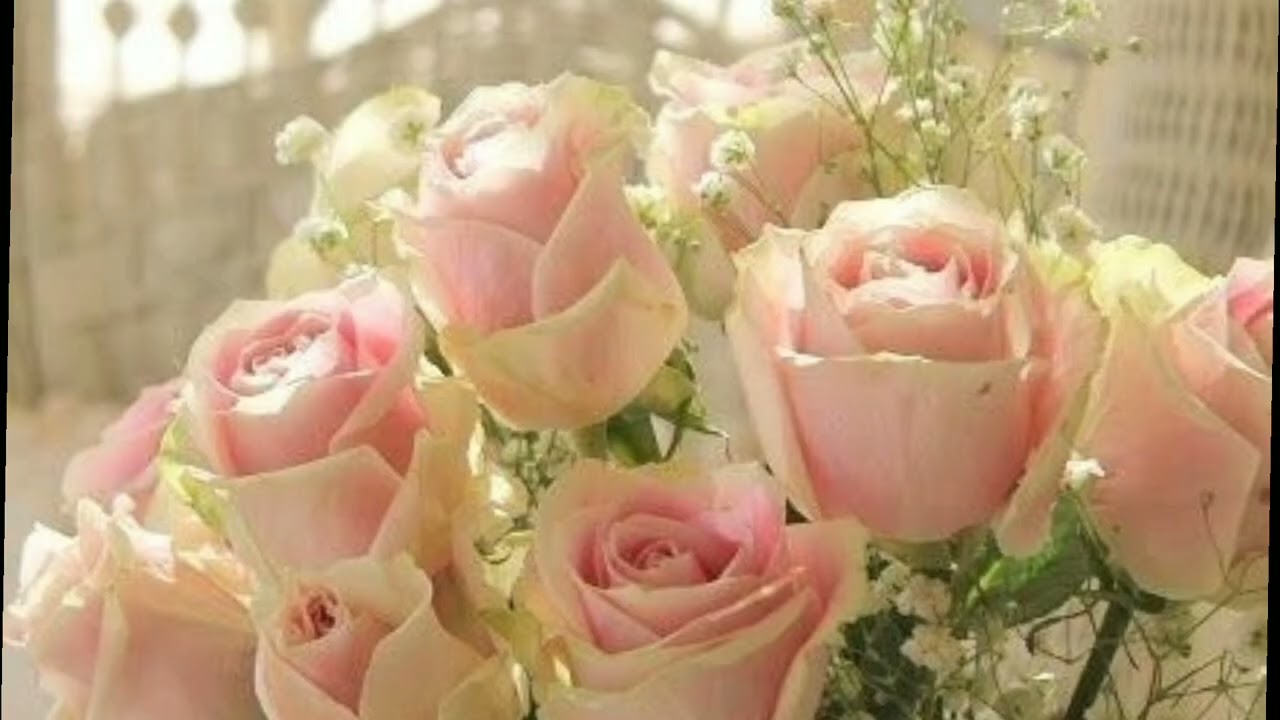 إزاي تتغلبي علي الكسل ....7 حلول تغير حياتك 