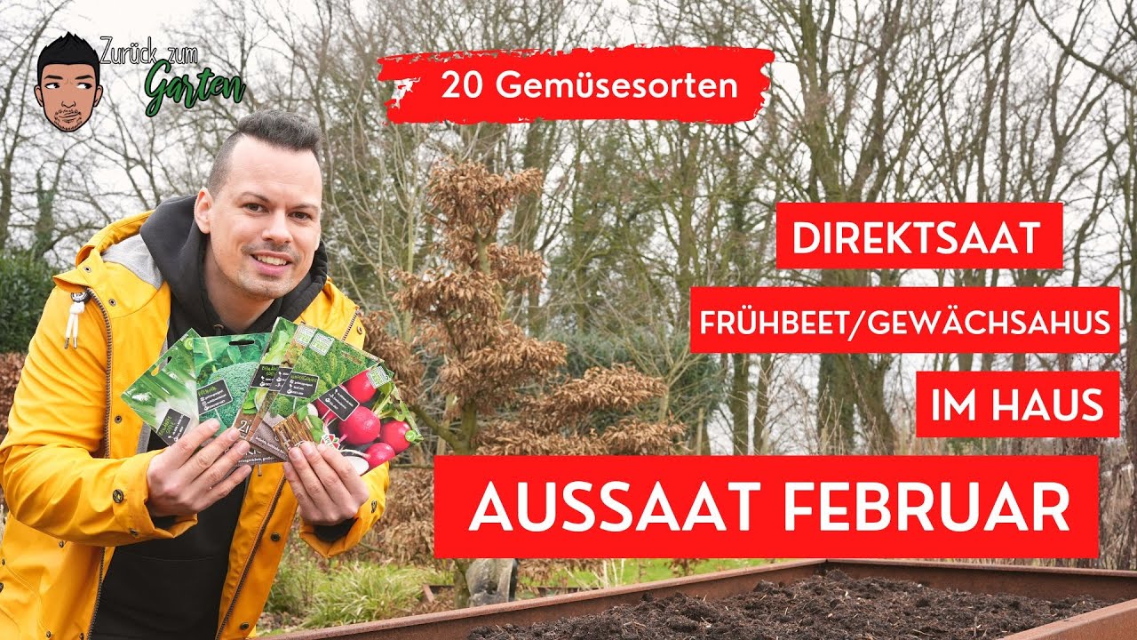 20 Gemüsesorten zur Aussaat im Februar - Das sollte alles in die Erde vor es zu spät ist