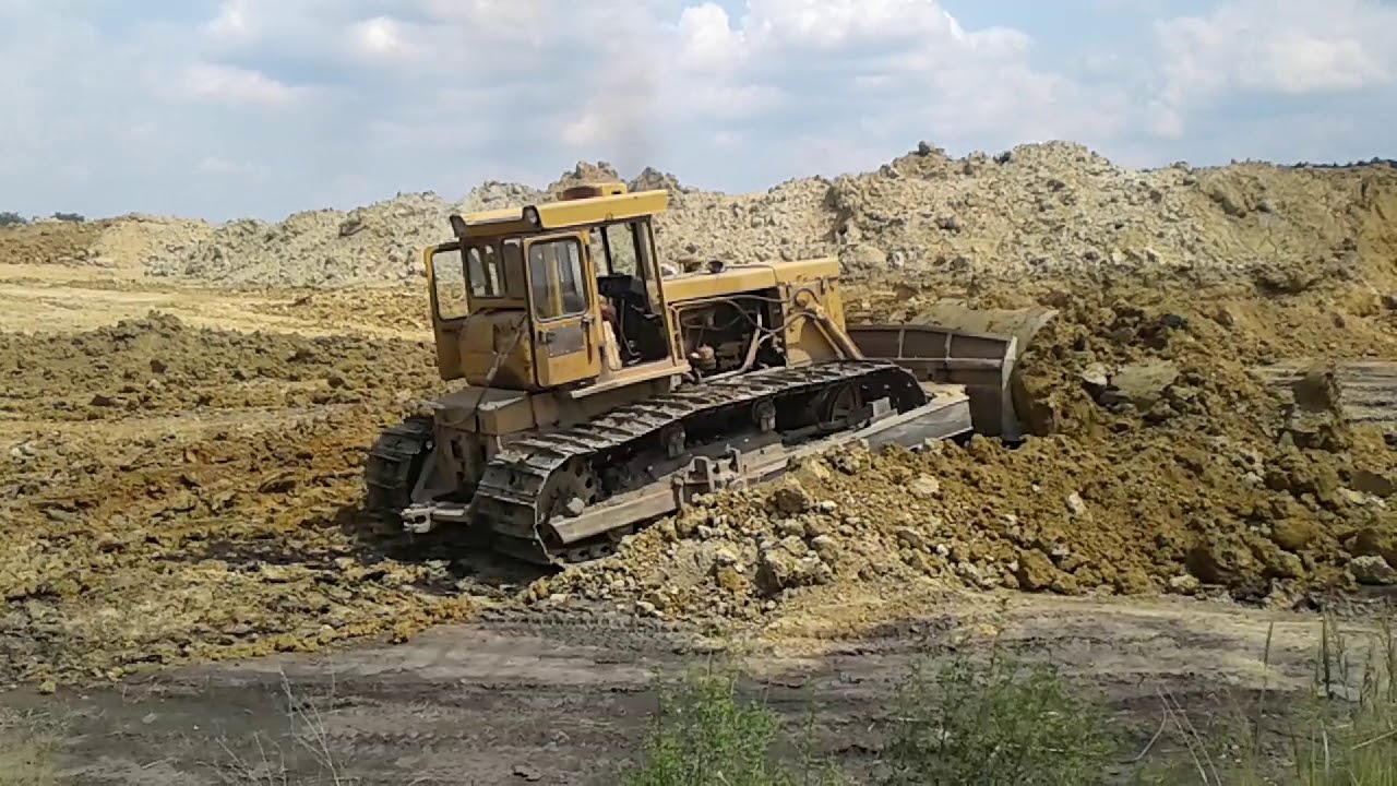 Stalinec bahňák v rekultivaci odkališť
