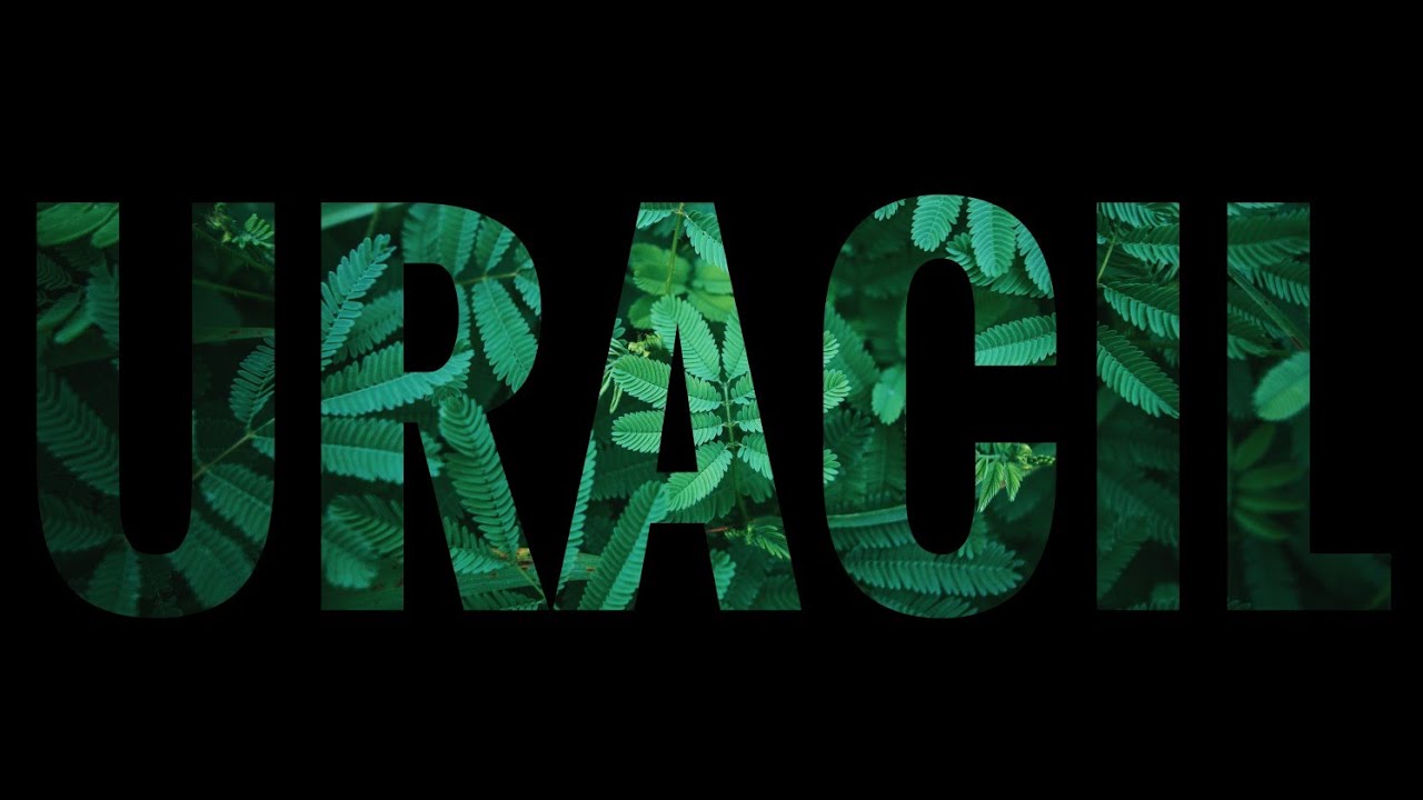 WHAT IS : URACIL
