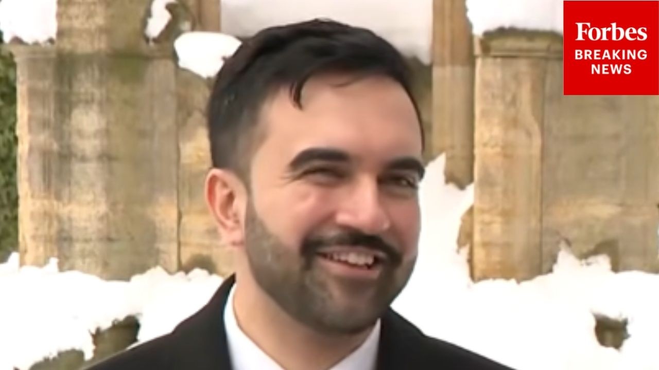 Mamdani Asked: 'Are You Surprised' How Much The ID Requirement For Snow Shovelers Has 'Blown-Up?'