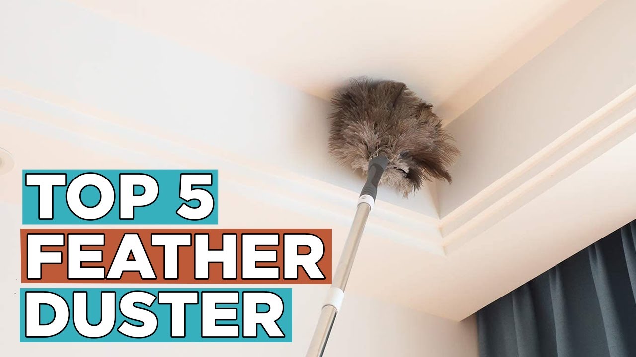 Top 5 Best Feather Dusters