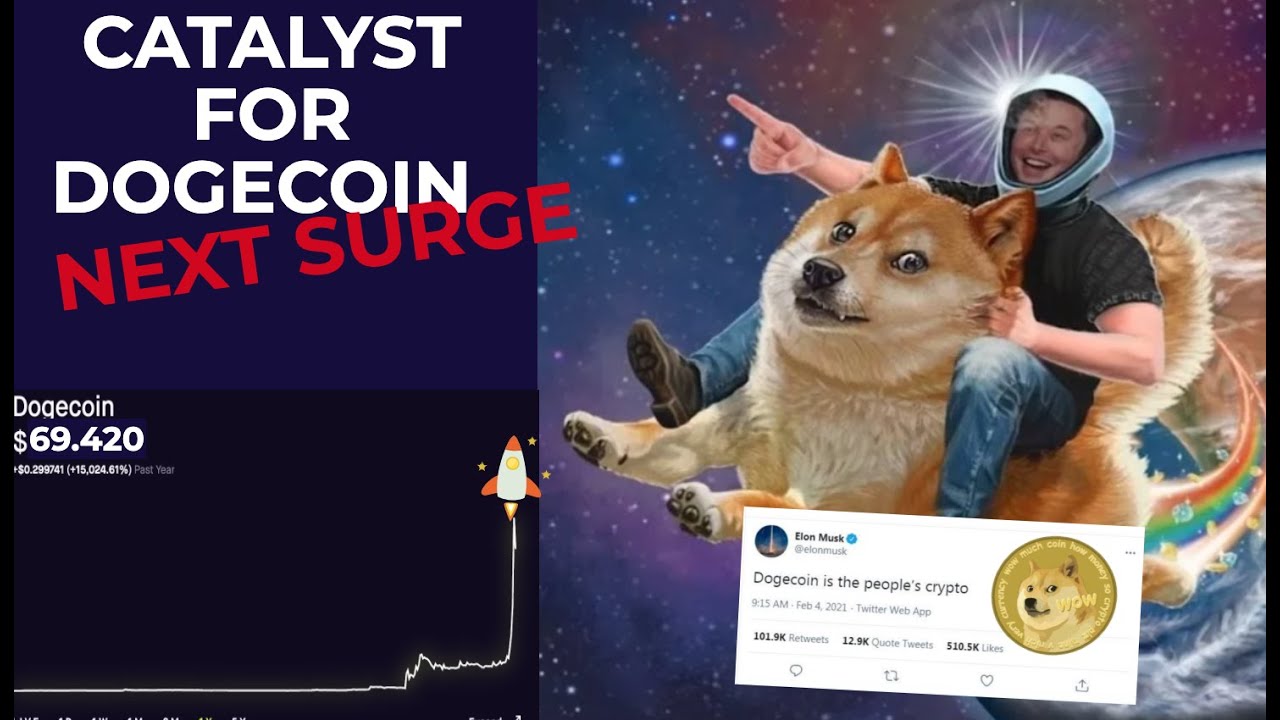 Catalyst for DOGECOIN NEXT SURGE | $0.69-$1 Price Prediction