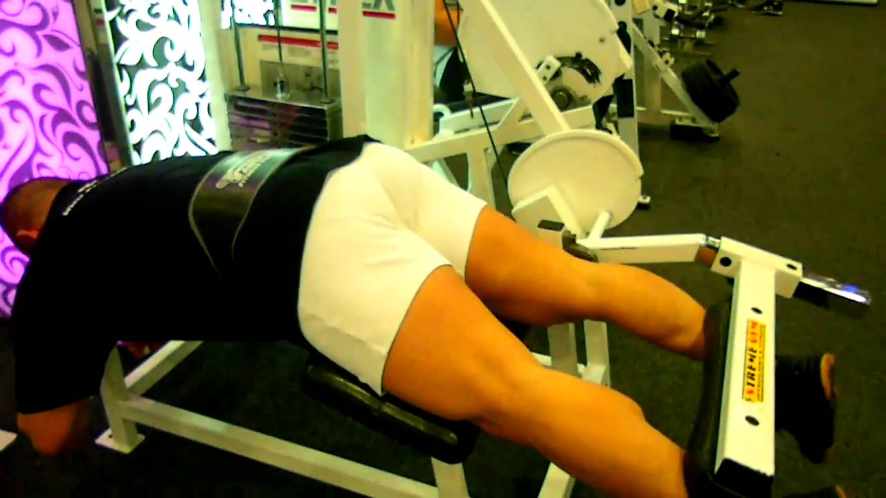 MARKO DIMITRIJEVIC Zadnja loza