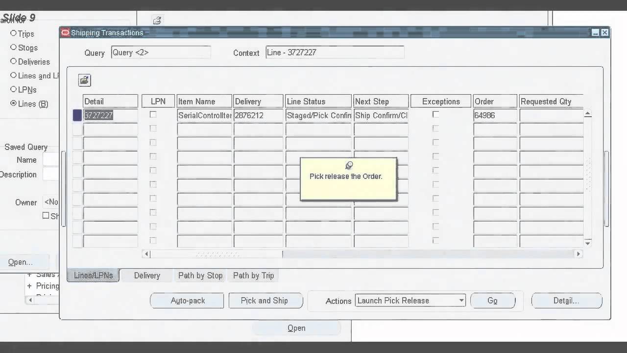 Serial Control items in Oracle Applications