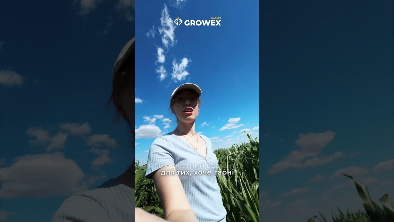 Трембіта 🌽 кукурудза від Growex Market 💪🏻💪🏻💪🏻 #growexmarket #трембіта рембіта