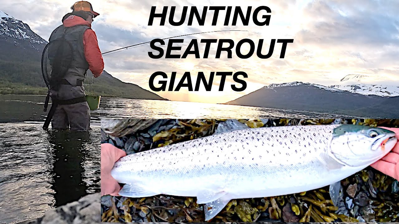 Hunting Big Sea Trout on the Fly | May Conditions