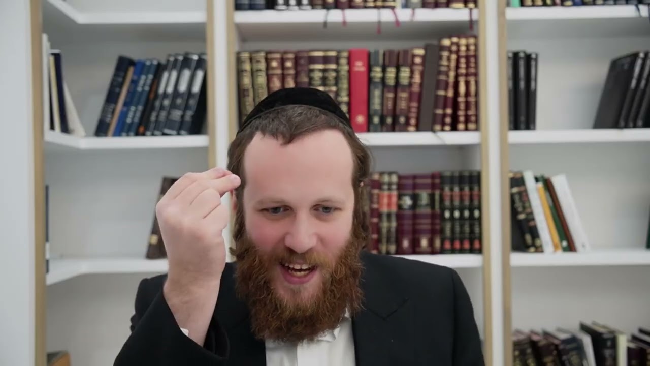 מהו ביקורת הבעש