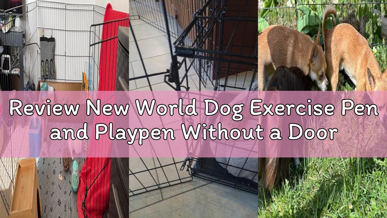 Review New World Dog Exercise Pen and Playpen Without a Door, Includes Grounding Stakes and Provides