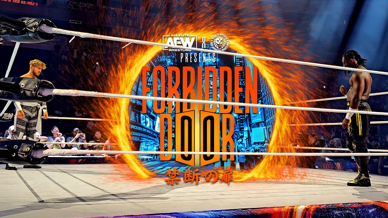 One of the Craziest Matches I've Ever Seen (AEW Forbidden Door Vlog)