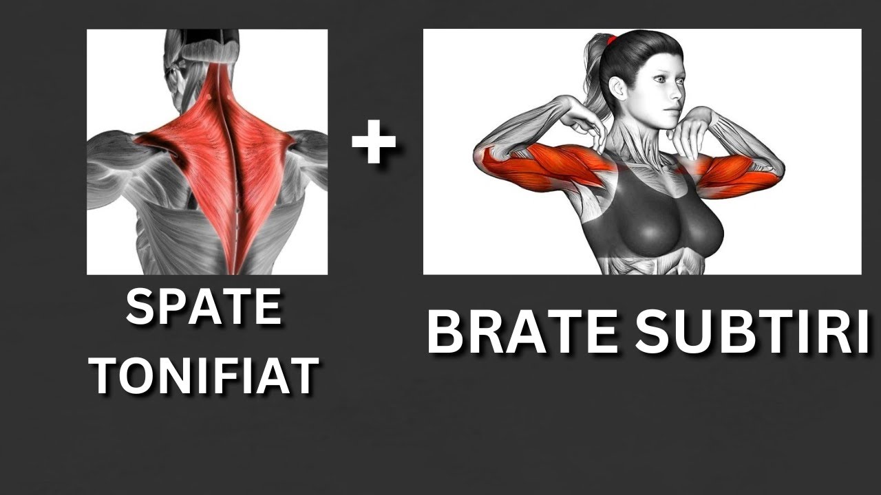 10 Minute Exercitii Pentru Brate Subtiri Si Spate Tonifiat Acasa