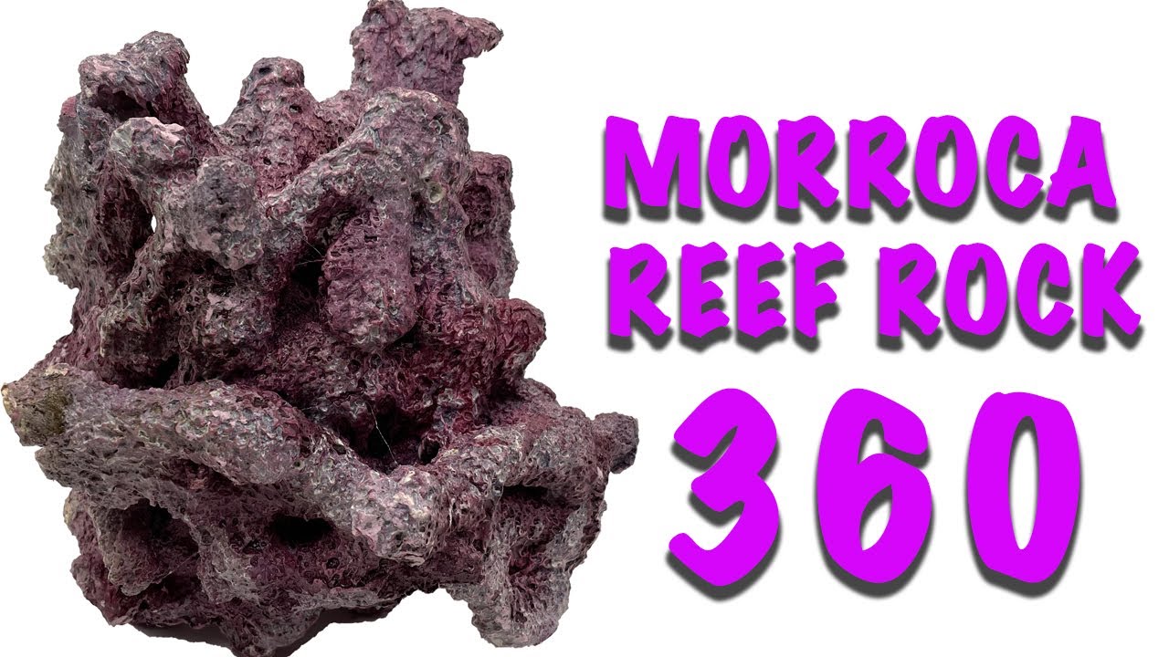 Tropic Eden Morroca Irregular Reef Rock - Medium - 360 View