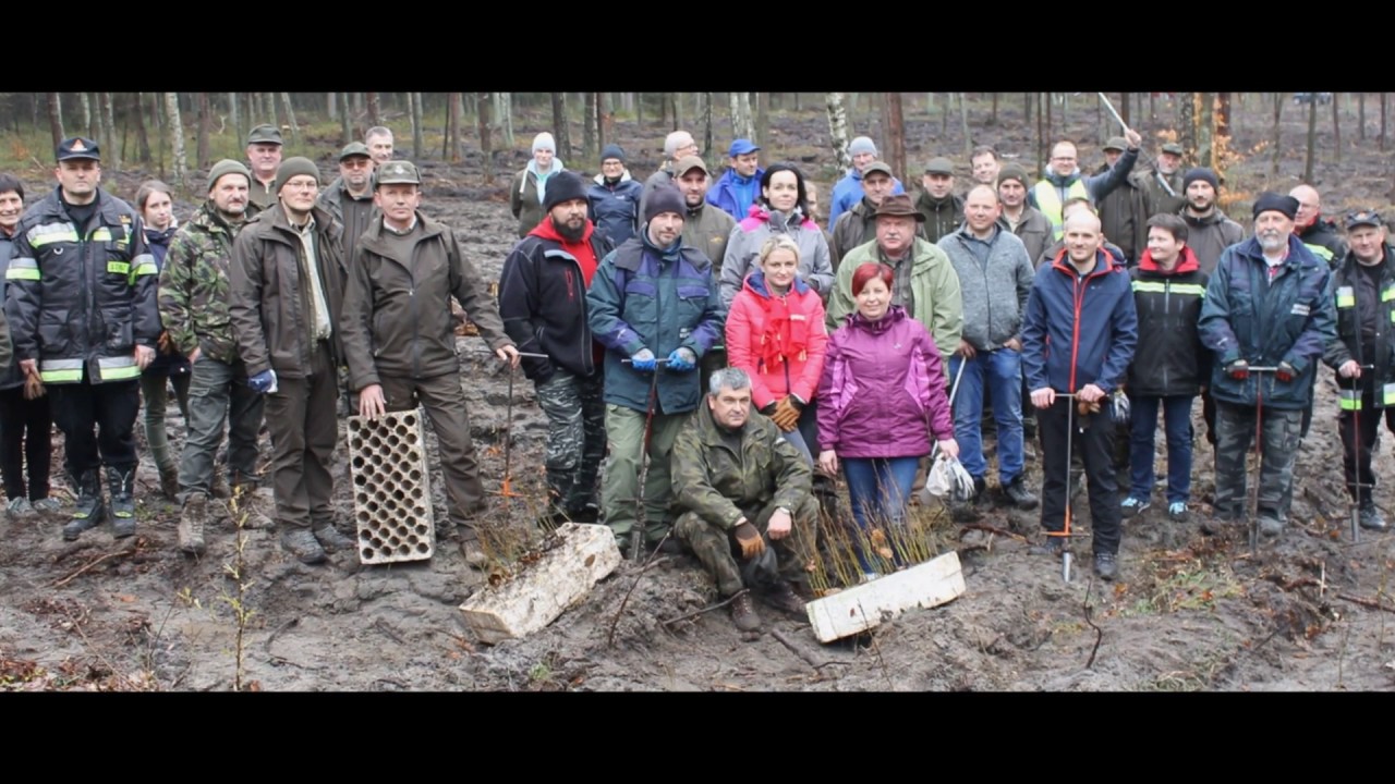 AKCJA SADZENIA LASU 