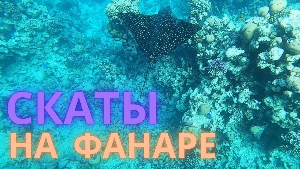 Обзор пляжа Эль Фанар | El Fanar beach. Бухта Рас-Ум-Эль-Сид 2022.