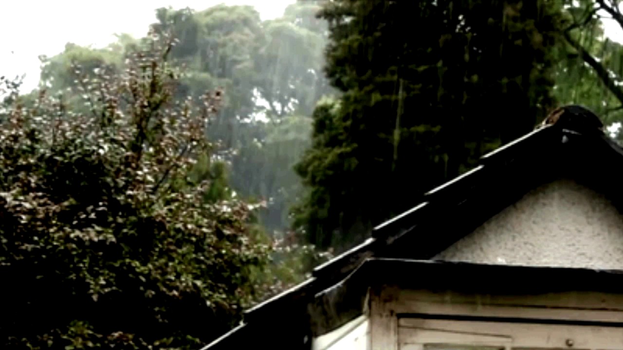 Heavy Rain 30 minutes
