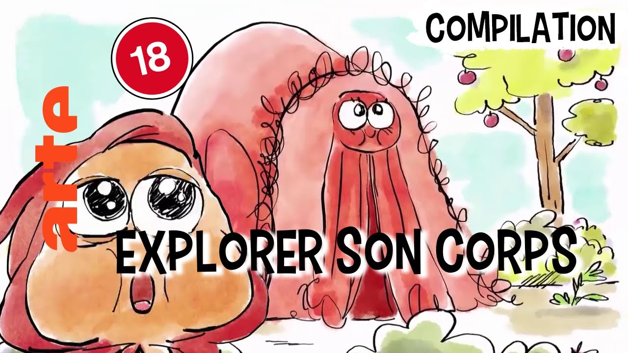 👄 Connaître son intimité | Compilation | Tu mourras moins bête | ARTE