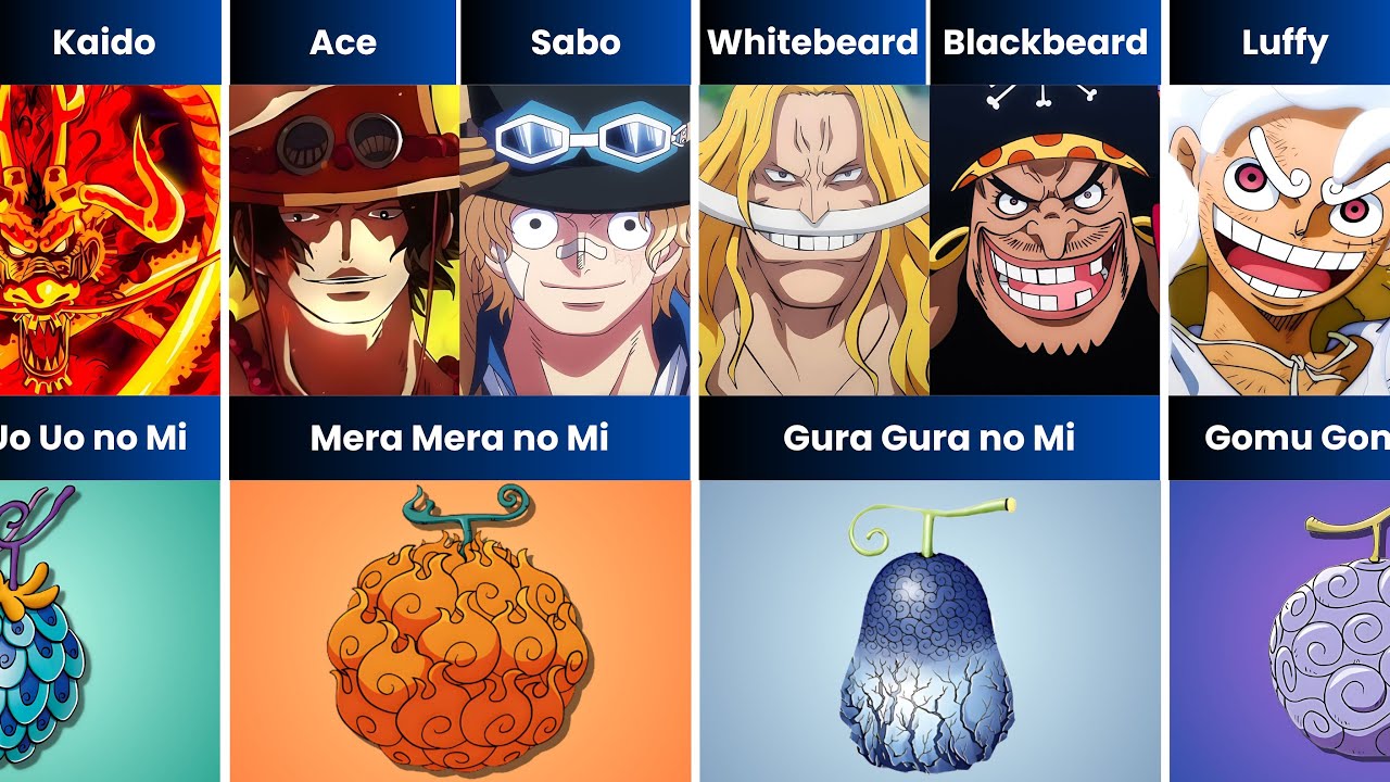 Every One Piece Characters Who Ate The Same Devil Fruits