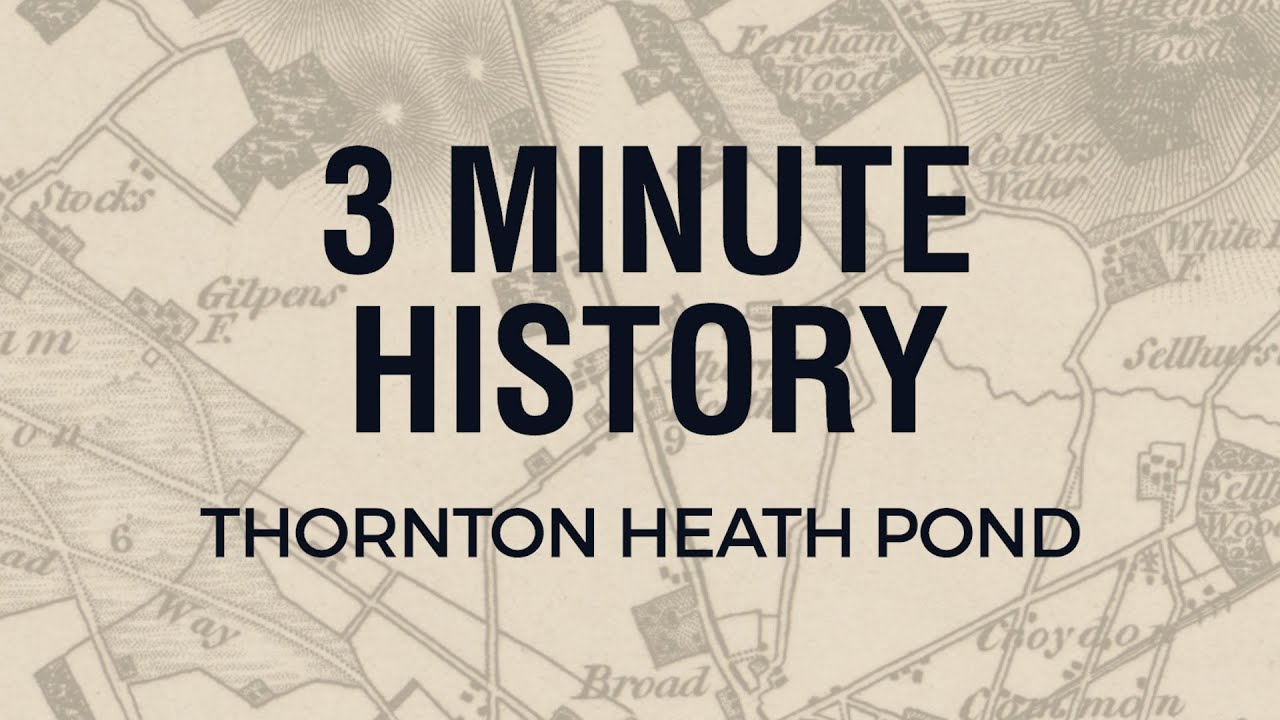 3 Minute History: Thornton Heath Pond