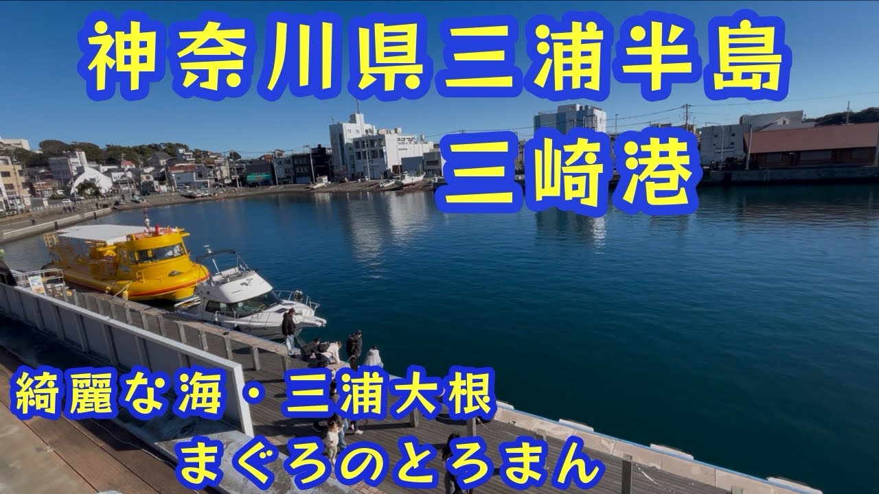【神奈川県三浦半島の三崎港⚓️】　綺麗な海🌊　まぐろのとろまん　三浦大根　