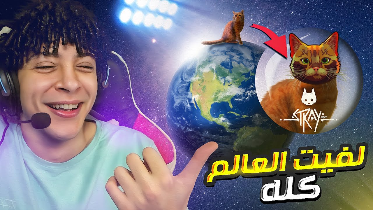 البحث عن كليمنتين 😂  - Stray #4