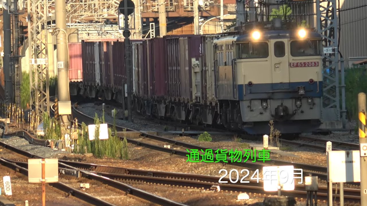 【HD60P】通過貨物列車 2024年9月分