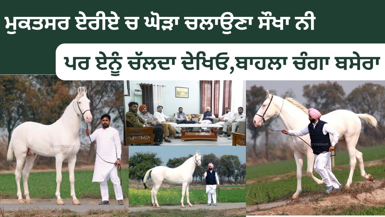 ਬਾਹਲਾ ਵੱਡਾ ਤੇ ਸੋਹਣਾ ਬਸੇਰਾ ਤਿਆਰ ਹੋਇਆ ਜਵਾਲਾਮੁਖੀ ਦਾ,ਰਿਕਾਰਡ ਤੋੜੂ ਇਹ ਥੋੜੇ ਸਮੇਂ ਚ ਈ ਯਾਦ ਰੱਖਿਓ