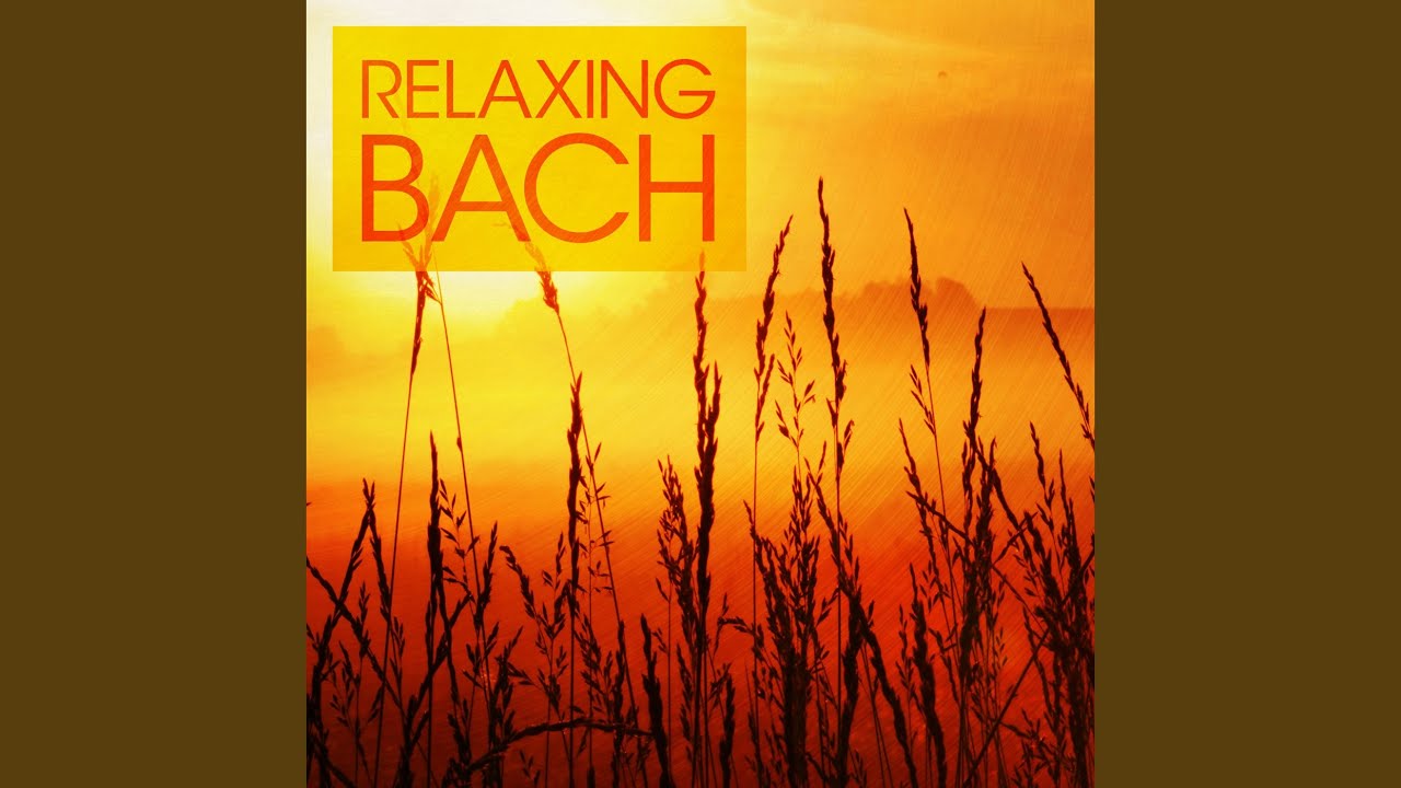 Double Concerto in D Minor for Two Violins and Strings, BWV 1043: III. Largo ma non tanto