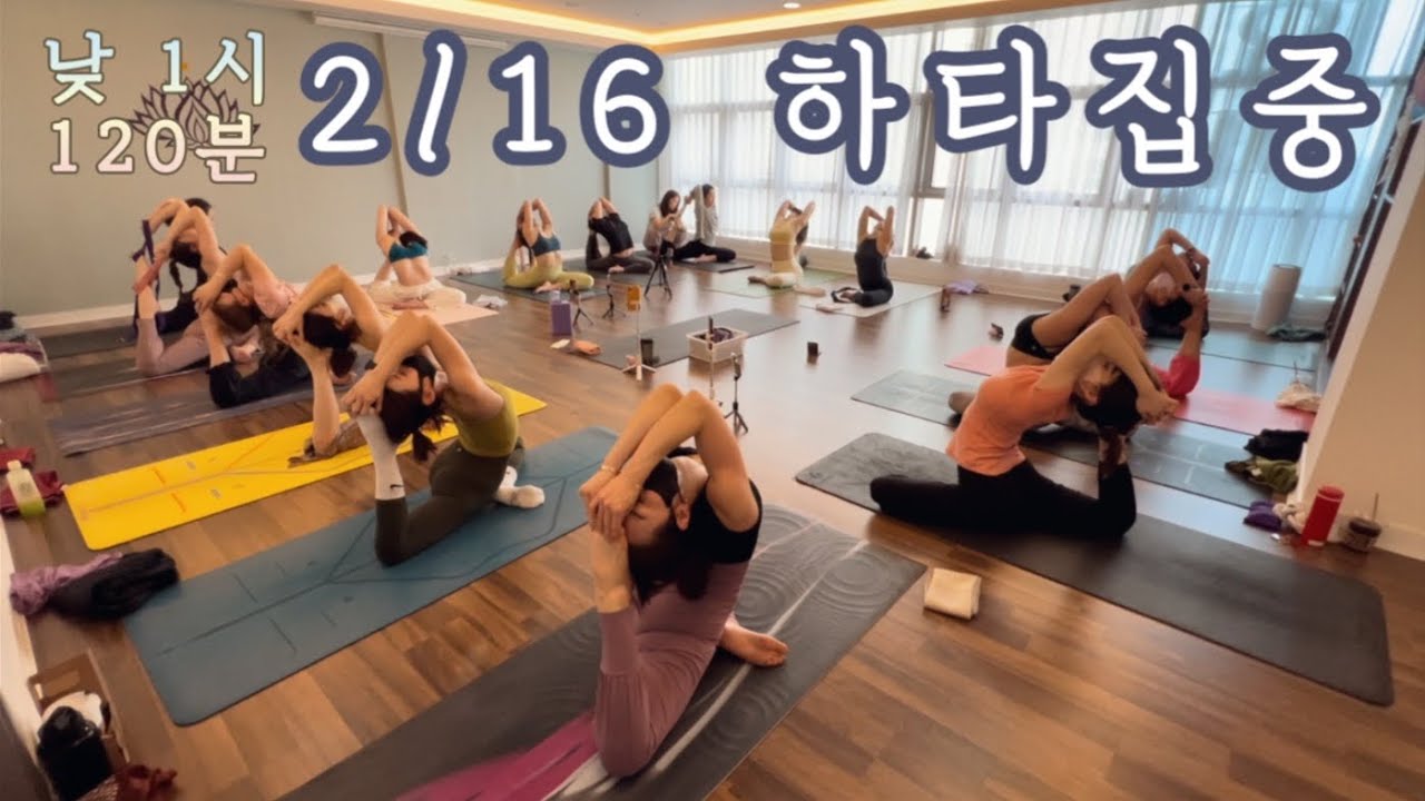 [엔젤요가] 2/16 하타집중수련영상 | 뇌를 지배하고 초연하게 바라보기 | 홈요가 | 낮수련