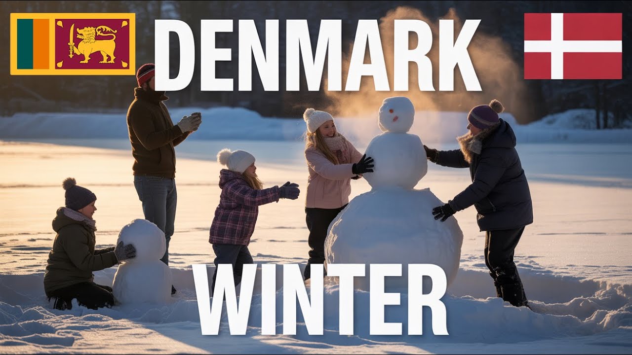 WINTER in Denmark 🇩🇰 | සීතල ඩෙන්මාක් දේශය .12 #denmarkvlog #sinhalavlogs