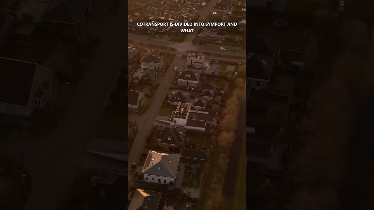 Cotransport is divided into symport and what?