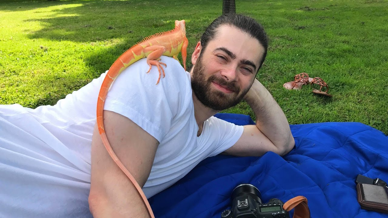 Albino Supercrimson Iguana - First day outside!