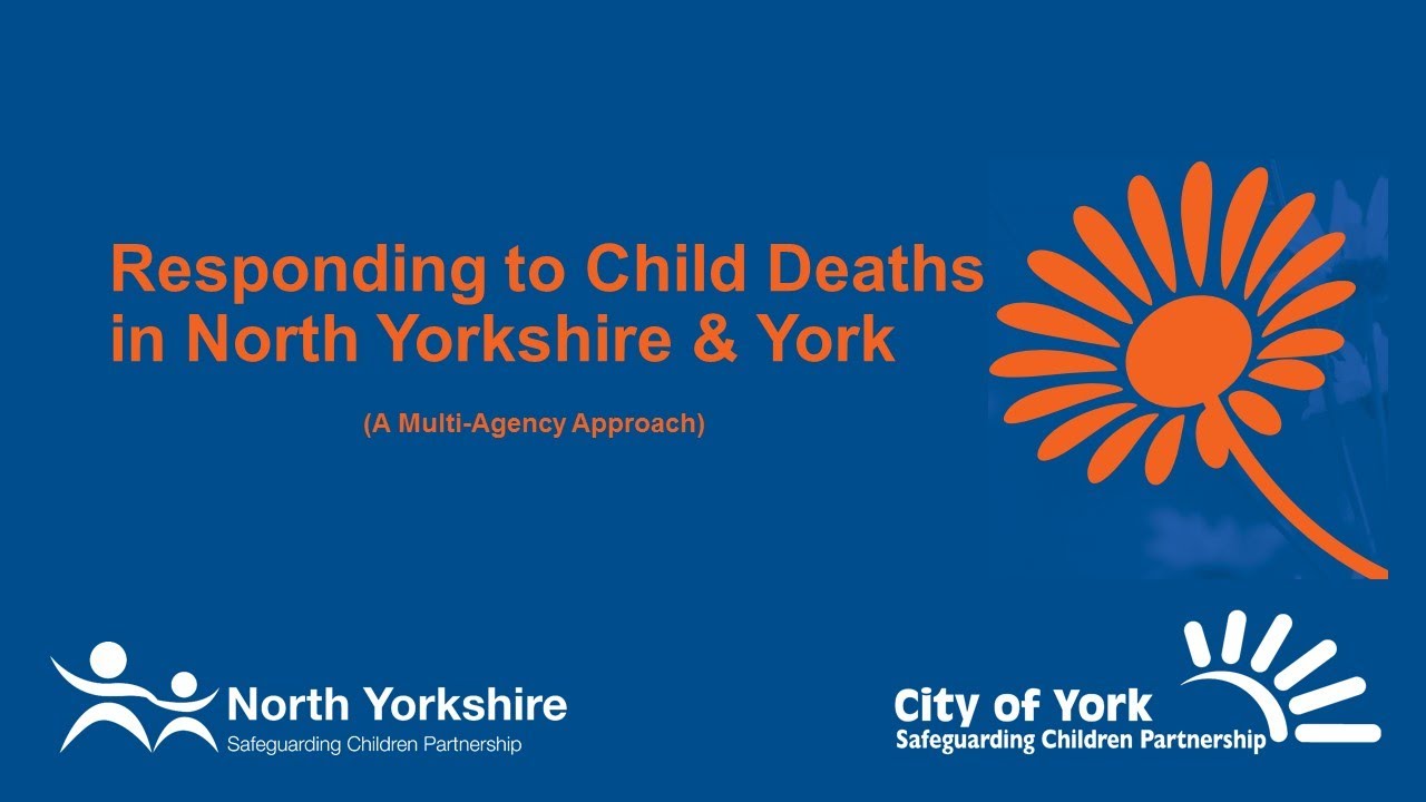 Child Death Review Advanced Training for Professionals
