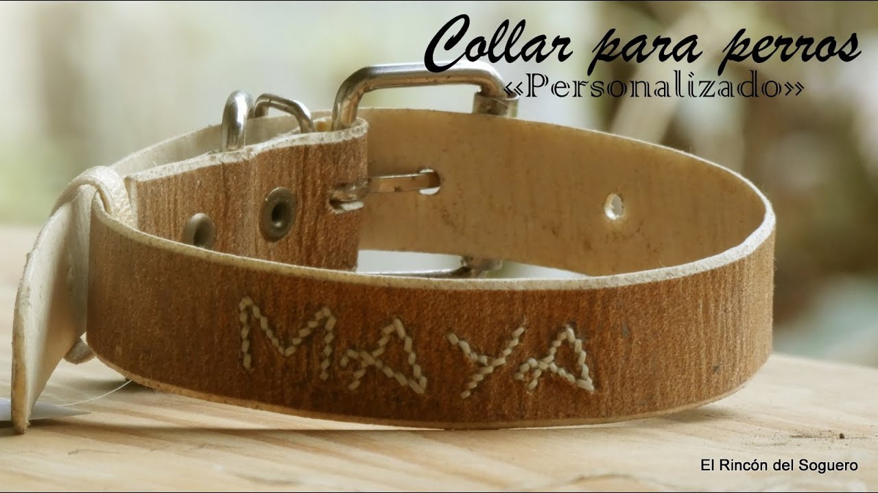 Sencillo Collar personalizado para perros  